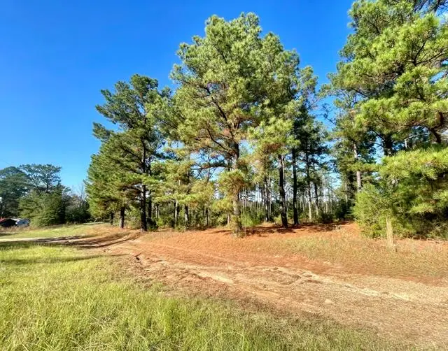 1407 Miller County 3, Doddridge, AR 71834 - Image #1