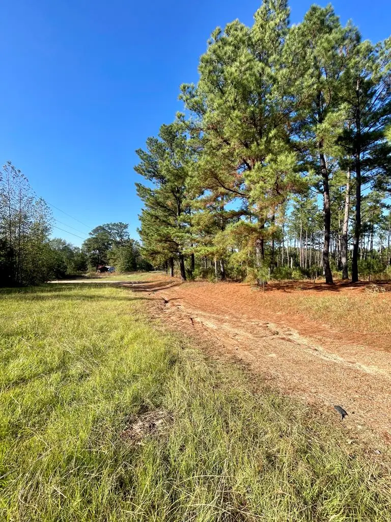 1407 Miller County 3, Doddridge, AR 71834 - Image #2