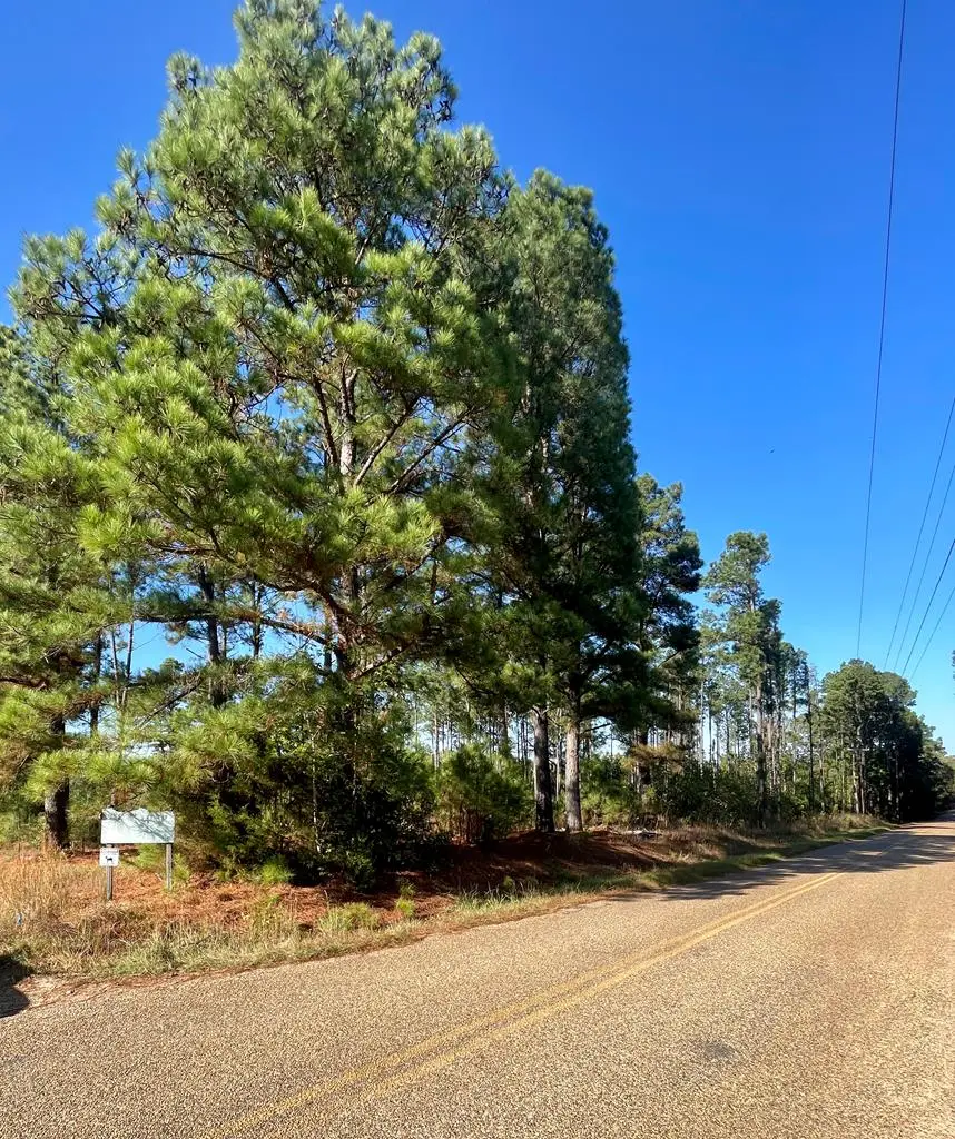 1407 Miller County 3, Doddridge, AR 71834 - Image #3