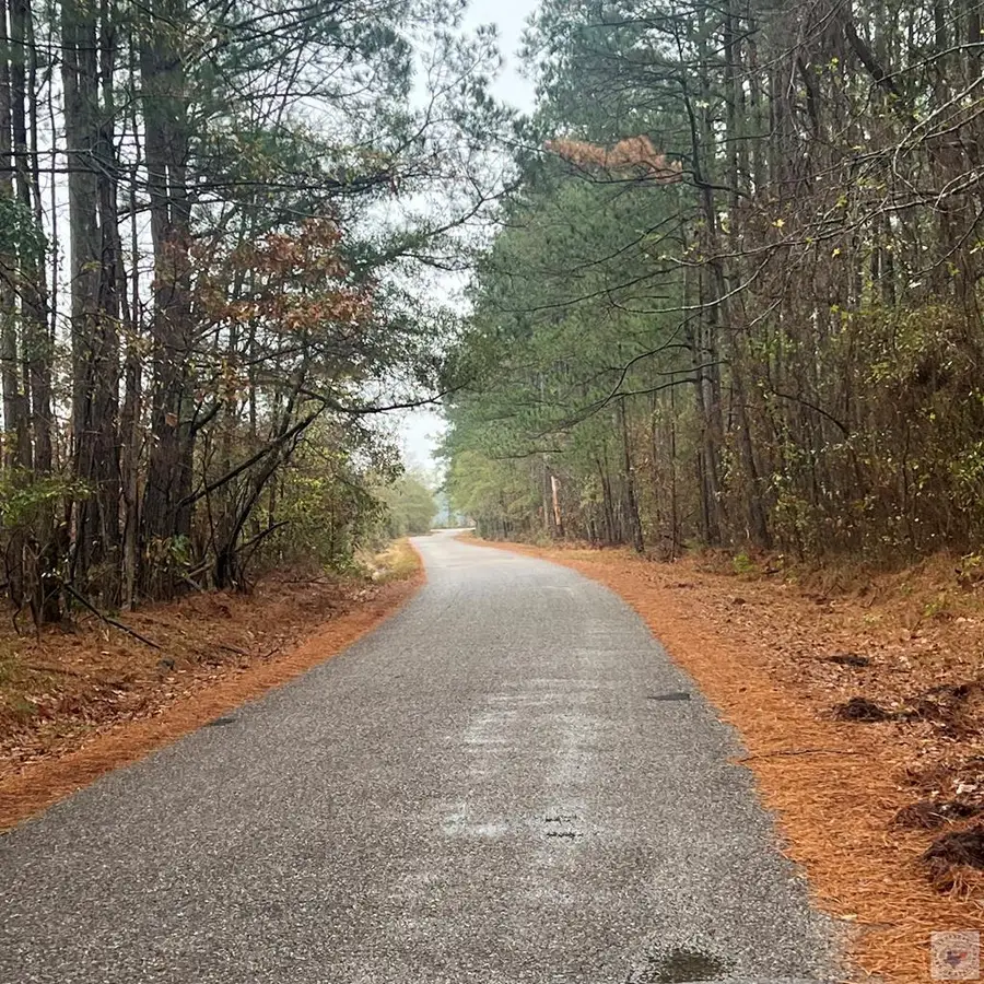 TBD Mc 226, Texarkana, AR 71854 - Image #2