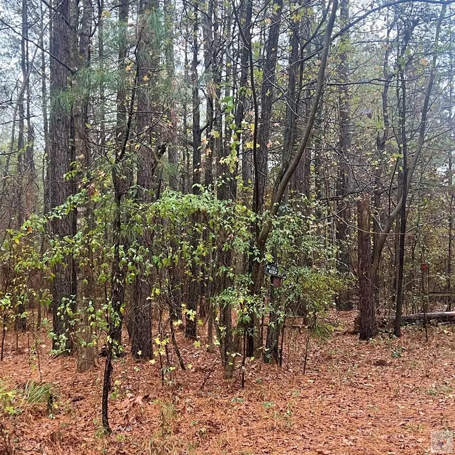 TBD Mc 226, Texarkana, AR 71854 - Image #3