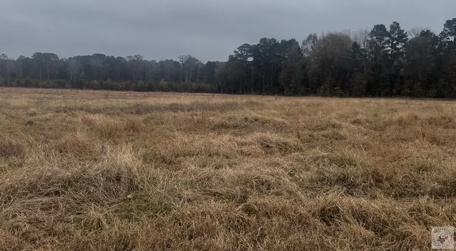 105 Cr 1150, Atlanta, TX 75551 - Image #3