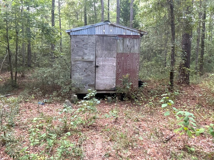 TBD Cr 1131, Linden, TX 75563 - Image #2