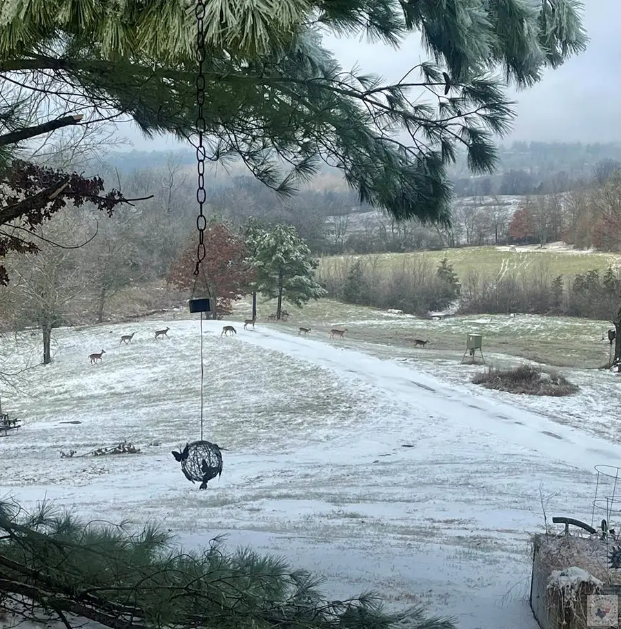 150 Twin Creeks Lane, Lockesburg, AR 71846 - Image #3