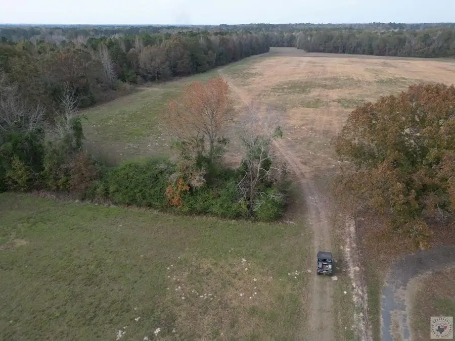 TBD Mc 265, Fouke, AR 71837 - Image #3