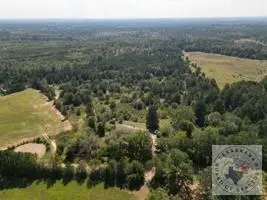 TBD Cr 4114, Atlanta, TX 75551