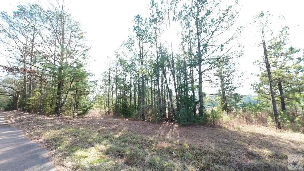 1405 Hwy 59 S, Linden, TX 75563 - Image #1