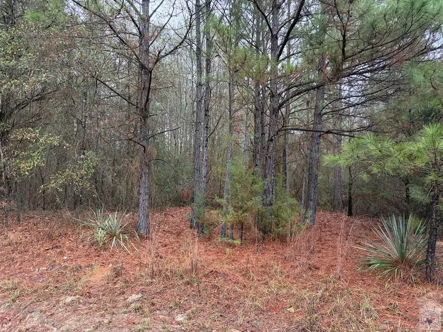 000 Cr 1608, Linden, TX 75563 - Image #2