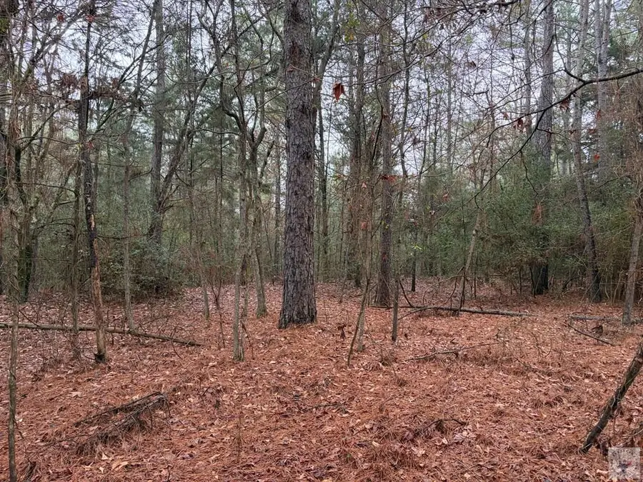 000 Cr 1608, Linden, TX 75563 - Image #3