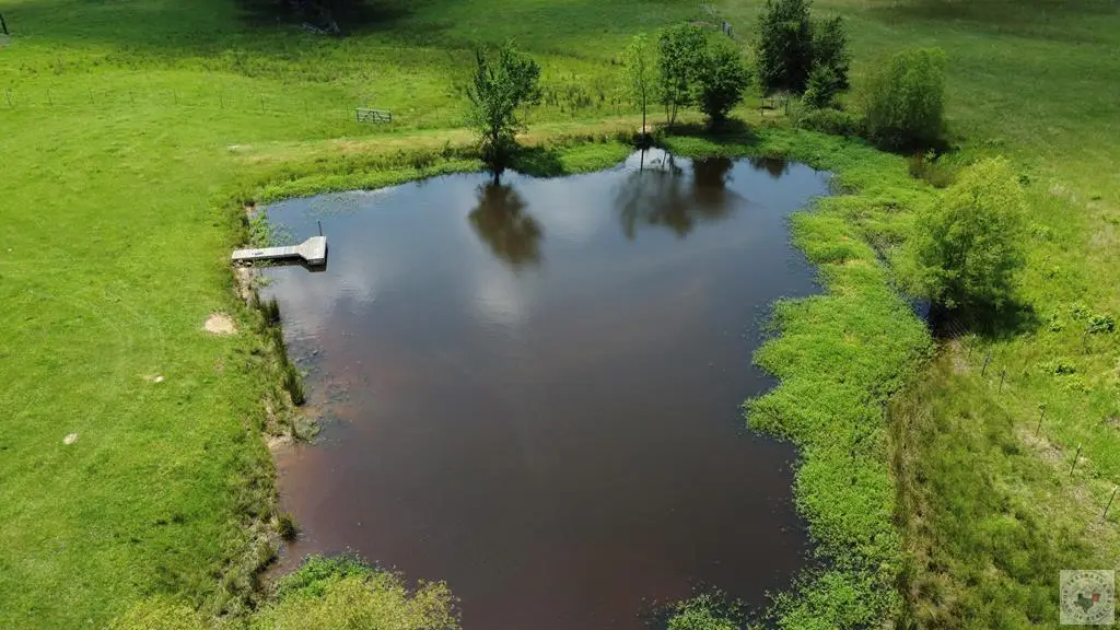 2523 Cr 1115, Maud, TX 75567 - Image #1