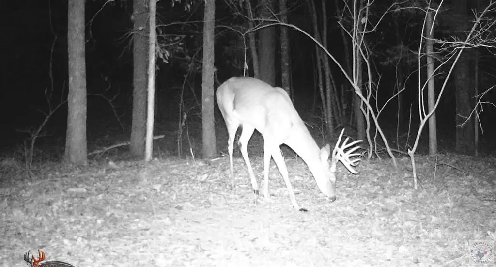 0 Cr 3216, De Kalb, TX 75559 - Image #1