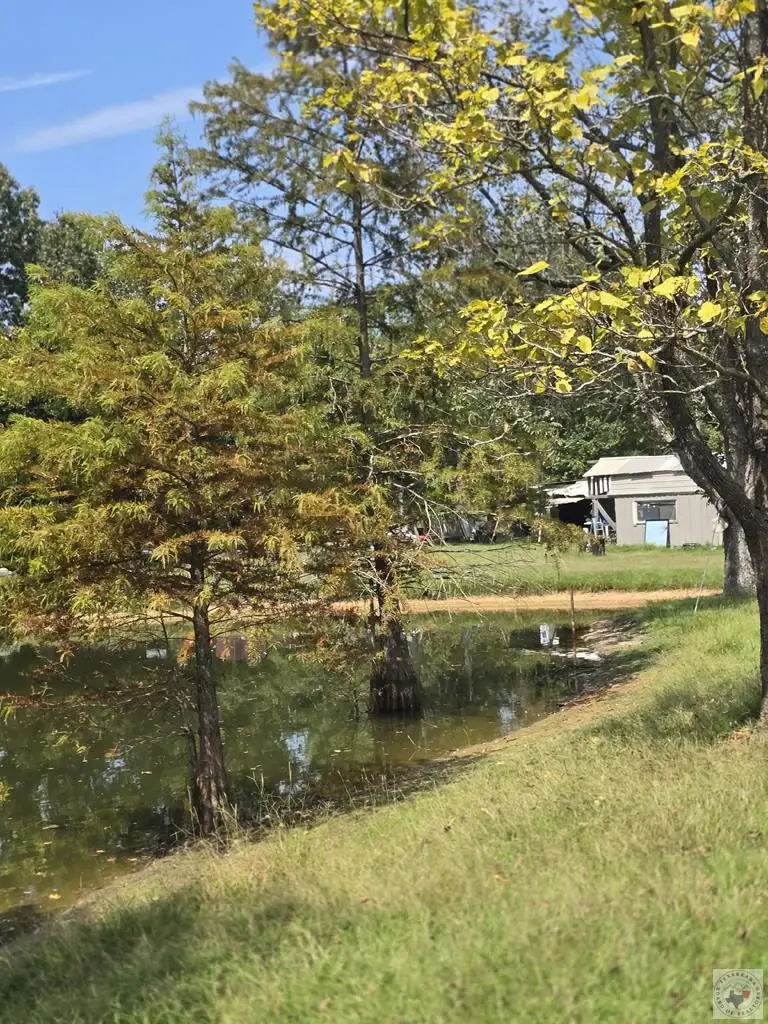 4622 Mcbride, Texarkana, AR 71854 - Image #1