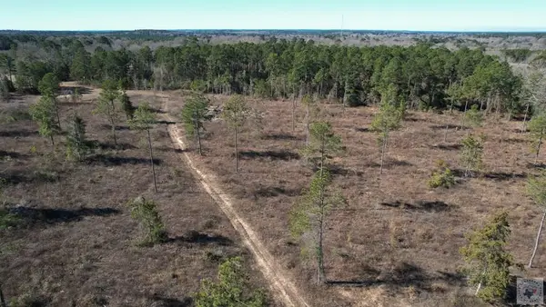 TBD S Fm 125, Bivins, TX 75555