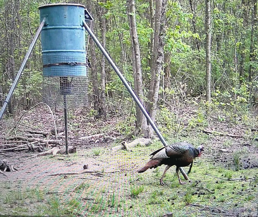 1093 Cr 4320, De Kalb, TX 75559 - Image #1