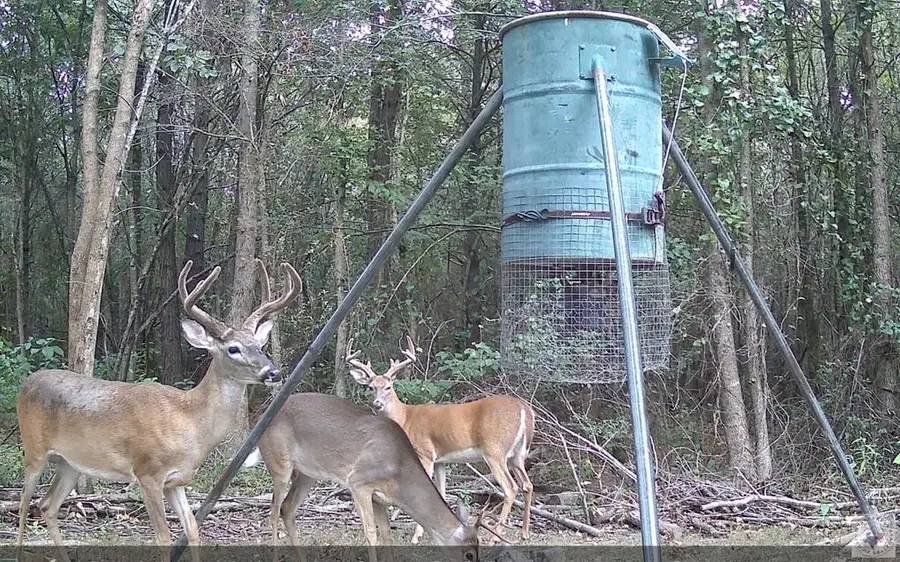 1093 Cr 4320, De Kalb, TX 75559 - Image #2