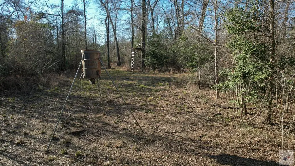 0000 Fm 728, Jefferson, TX 75657 - Image #1