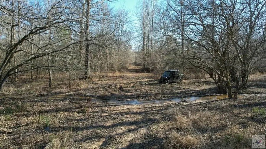 0000 Fm 728, Jefferson, TX 75657 - Image #3