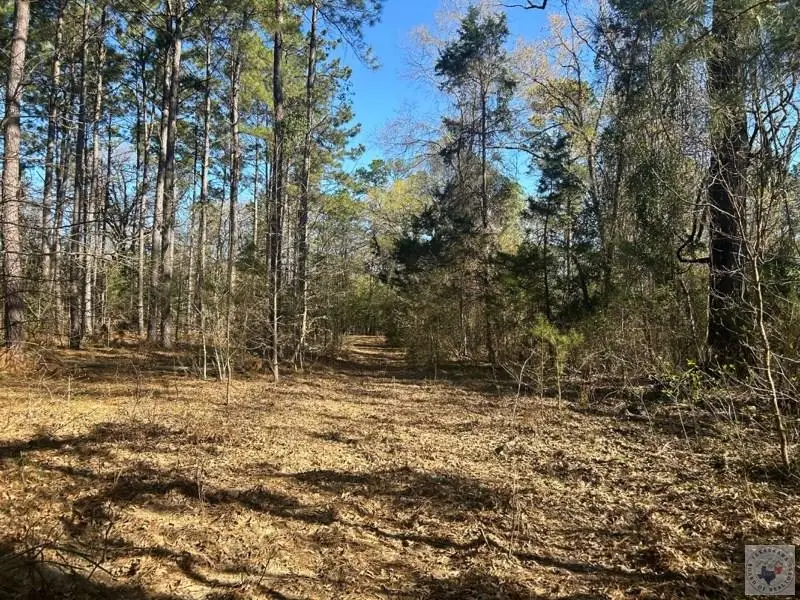 TBD Easement Rd., Linden, TX 75563 - Image #2