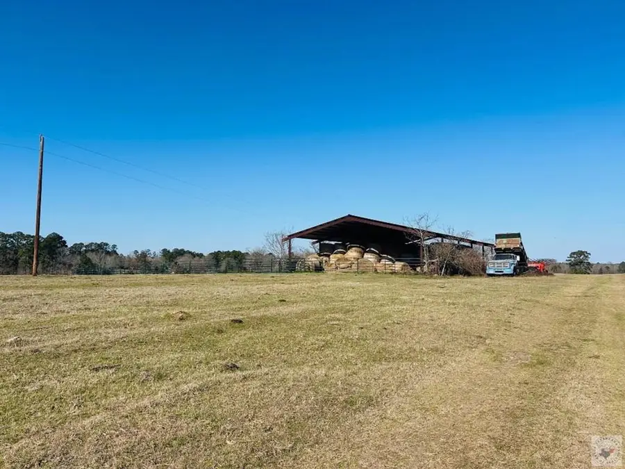 1805 Cr 3778, Queen City, TX 75572 - Image #2