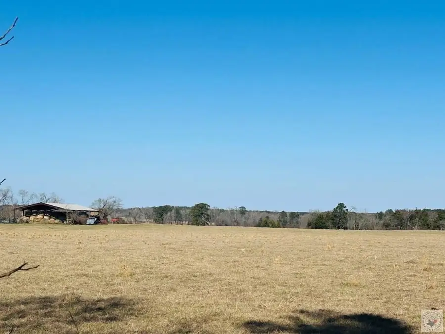 1805 Cr 3778, Queen City, TX 75572 - Image #3