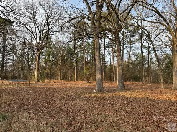 201A Roosevelt, Hooks, TX 75561