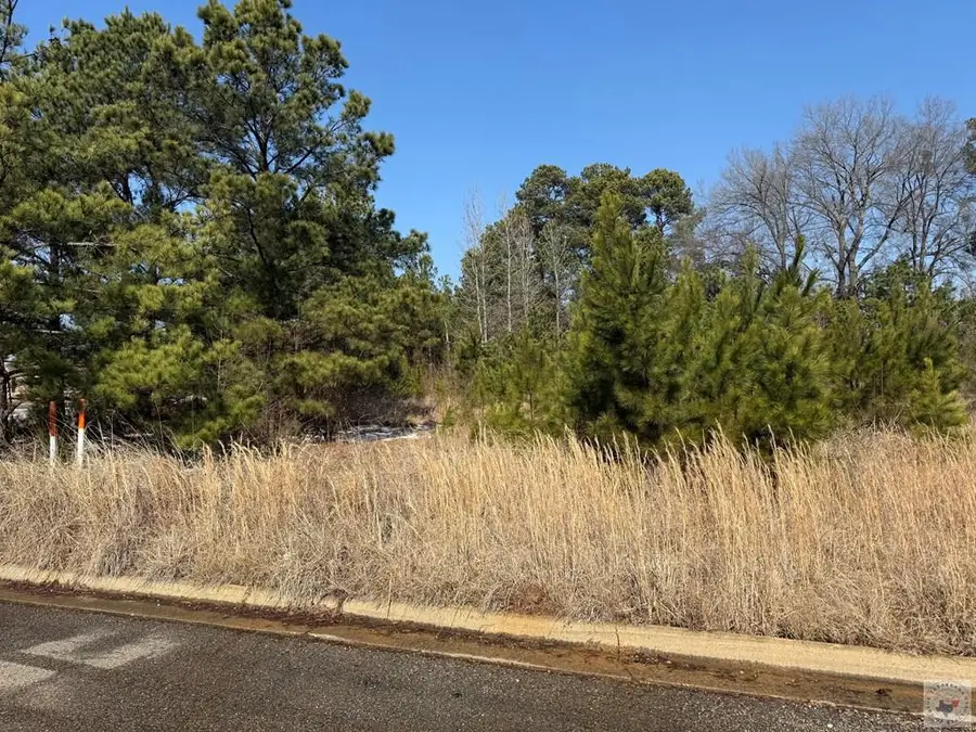 0 Airport Plaza Dr, Texarkana, AR 71854 - Image #3