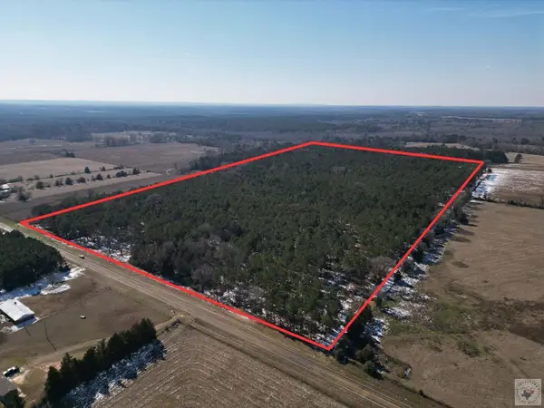 000 Fm 250, Naples, TX 75568