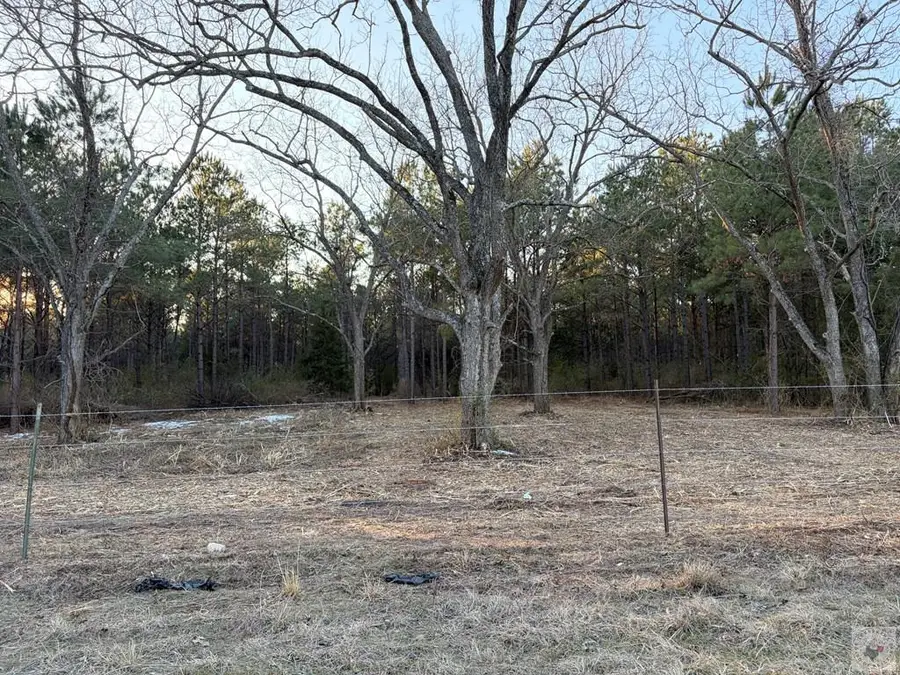 000 Fm 250, Naples, TX 75568 - #2