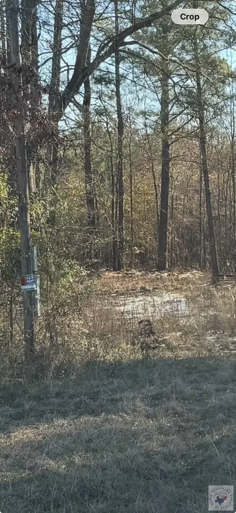 2950 Fm 3098, Maud, TX 75567 - #2