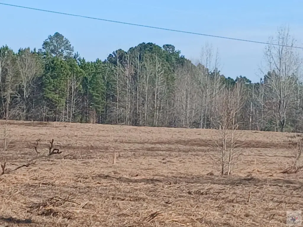 325 Mc 353, Texarkana, AR 71854 - #1