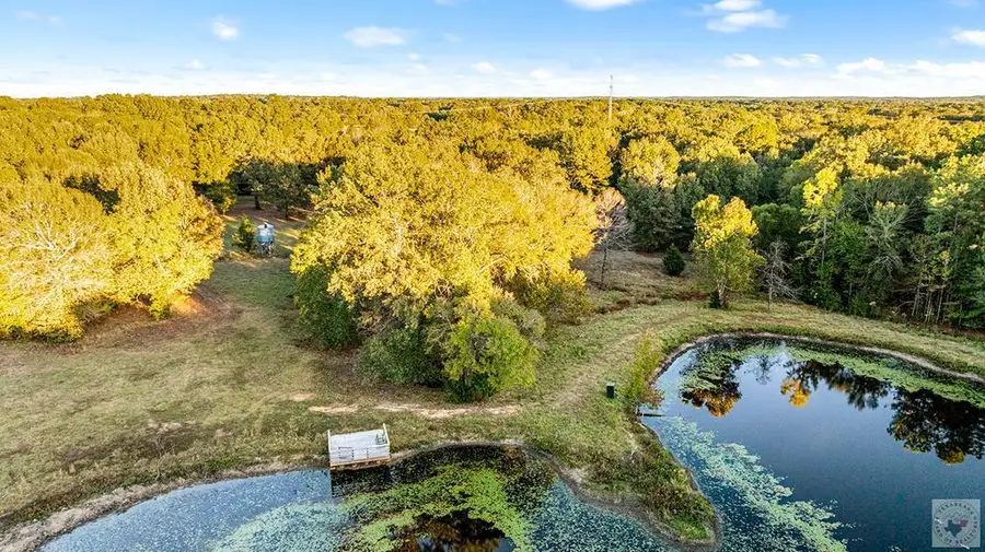 1450 Cr 2475, Naples, TX 75568 - #2