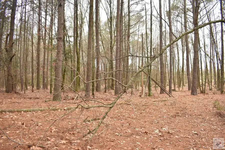 TBD Hwy 19, Murfreesboro, AR 71958 - #2