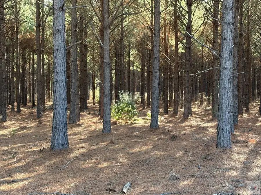 TBD Cr 3774, Queen City, TX 75572 - #2