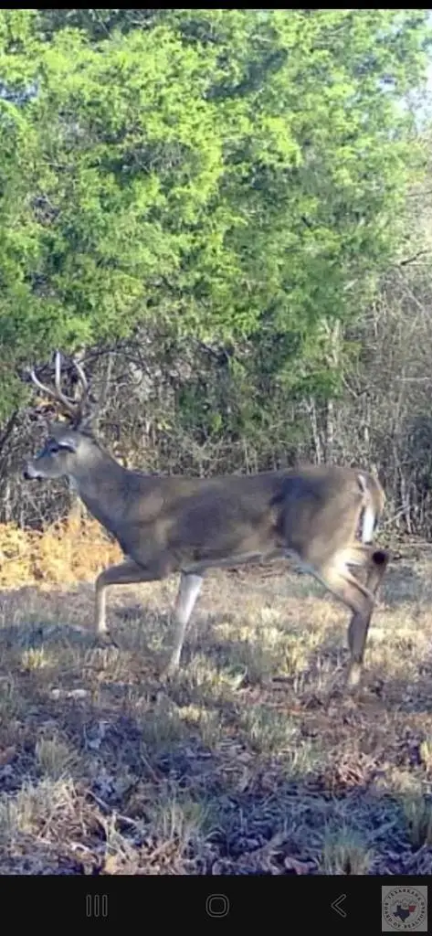 000 Mc 30, Doddridge, AR 71834 - #1