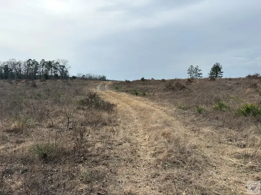 TBD Tx Hwy 8, Linden, TX 75563 - #2