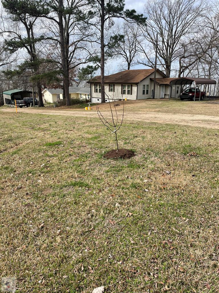 114 Lakefork, Saratoga, AR 71859 - #1