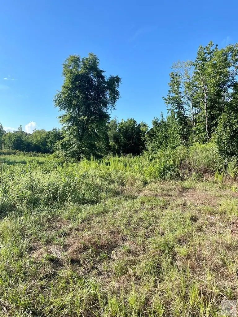 TBD Highway 71, Doddridge, AR 71834 - #3