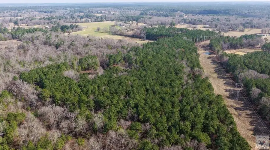 2515 & 2521 Fm 3098, Maud Redwater, TX 75573 - #2