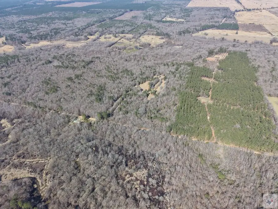 000 County Road 3207, De Kalb, TX 75559 - #3