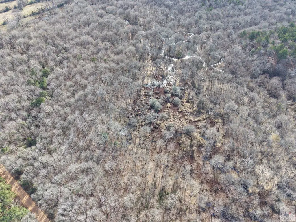 000 County Road 3207, De Kalb, TX 75559 - #1