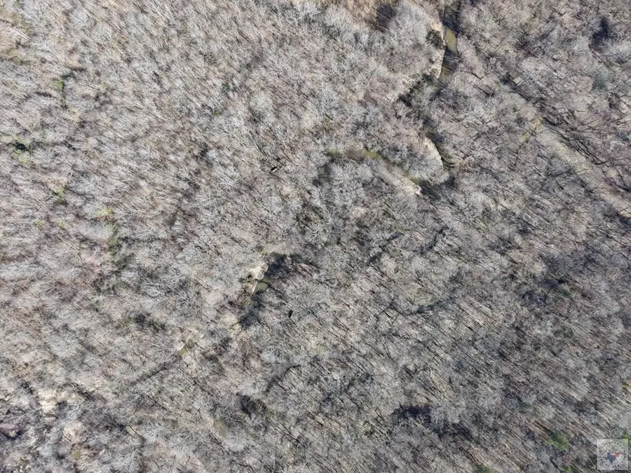 000 County Road 3207, De Kalb, TX 75559 - #3