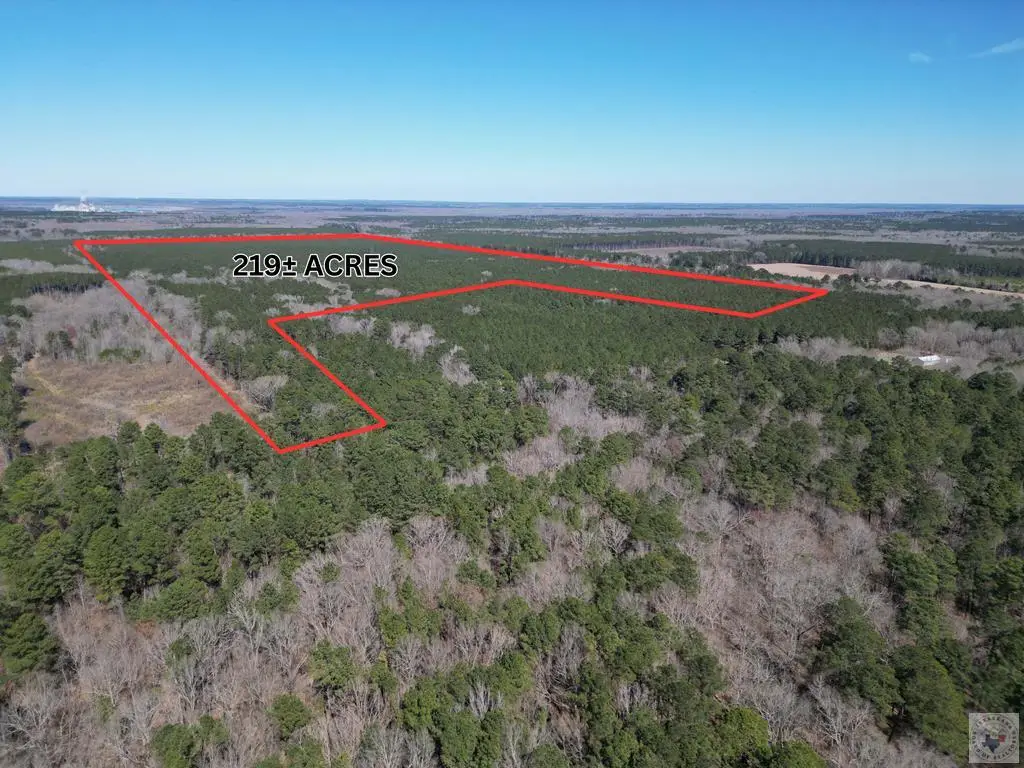 TBD Cr 3888, Queen City, TX 75572 - #1