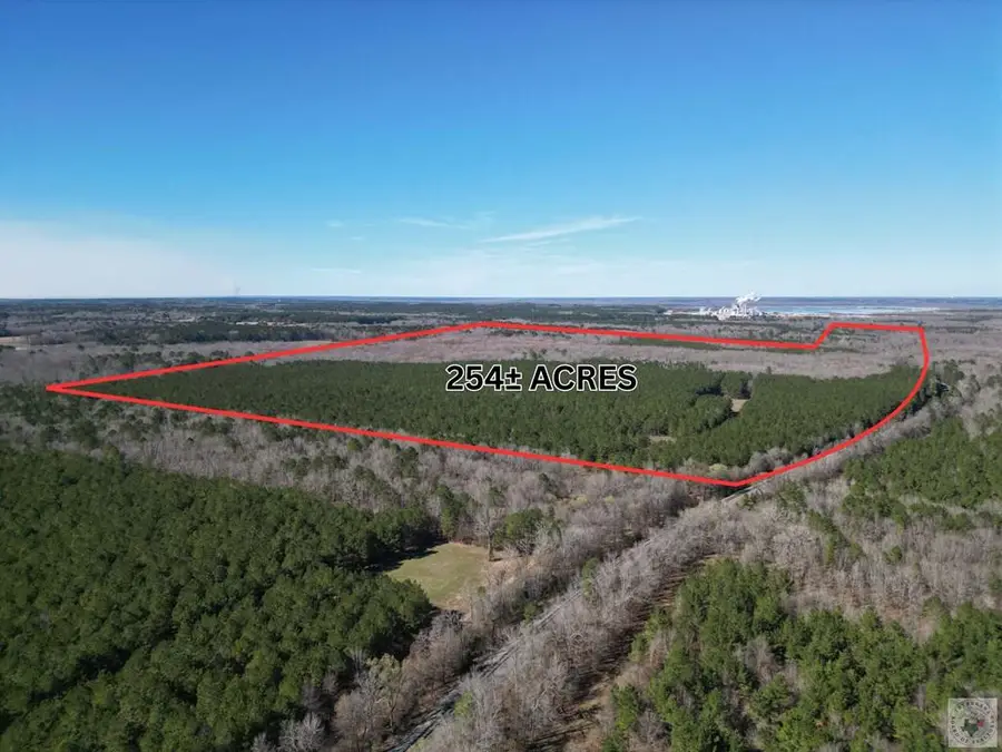 TBD Cr 3888, Queen City, TX 75572 - #2