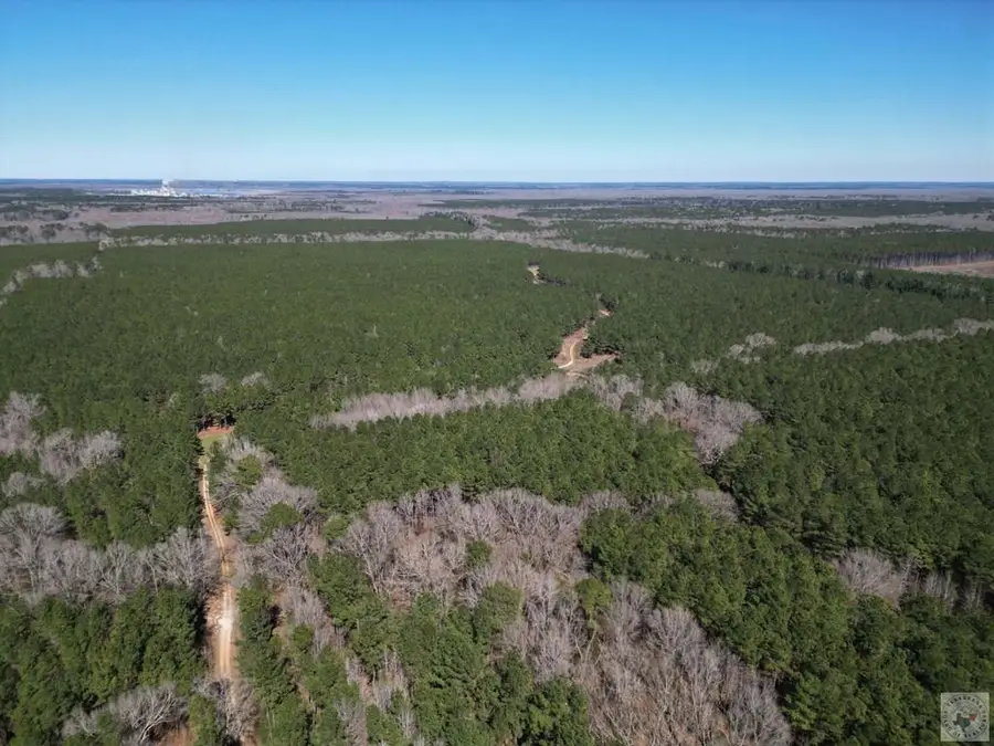 TBD Cr 3888, Queen City, TX 75572 - #3