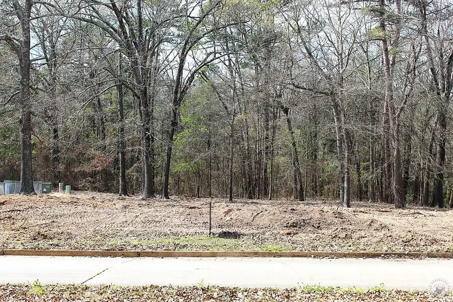 303 Peter Alan, Nash, TX 75569 - #3