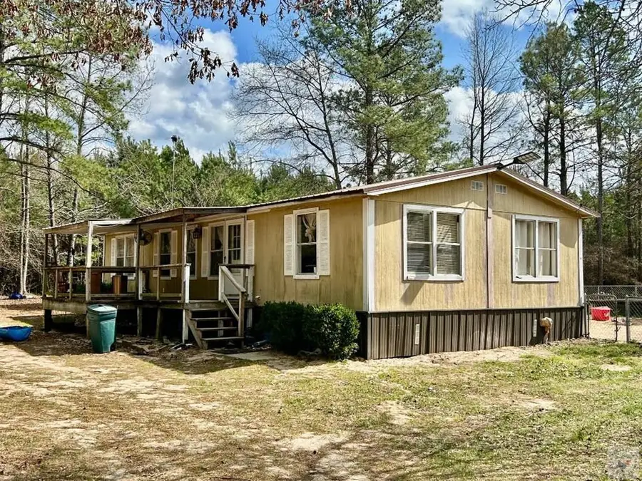 3014 Cr 4668, Bivins, TX 75555 - #2