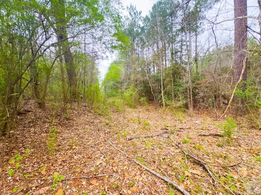 TBD Fm 130, Linden, TX 75563 - #3