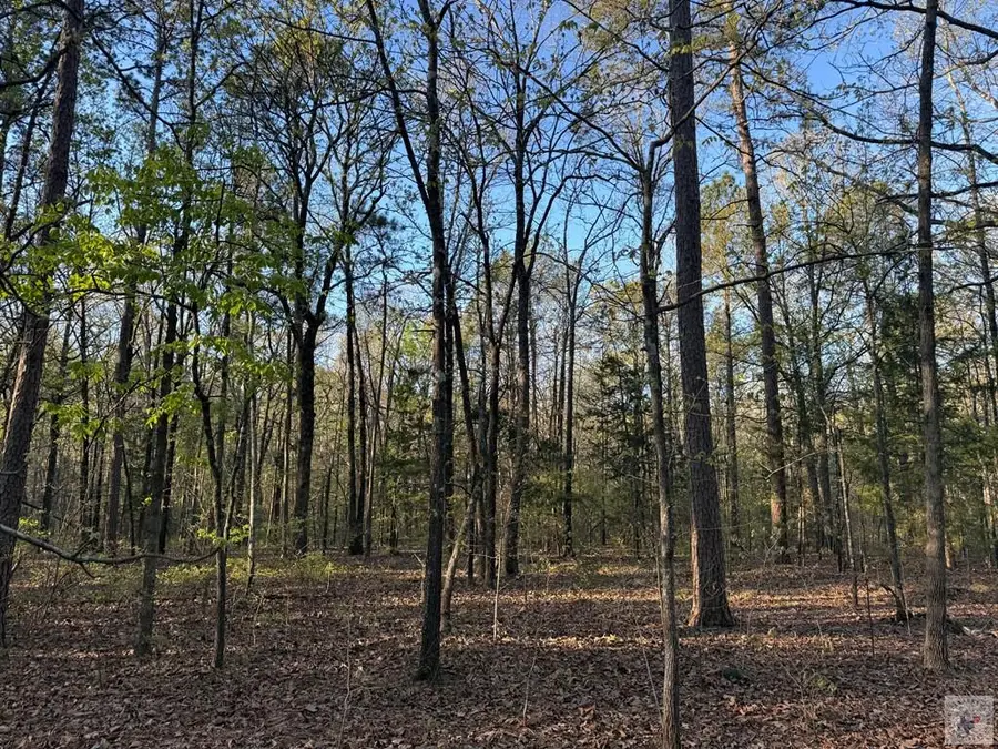 CR 3671 Tbd, Queen City, TX 75572 - #3