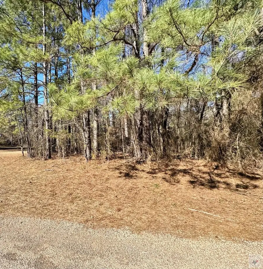 506 Pecan, Maud, TX 75567 - #2