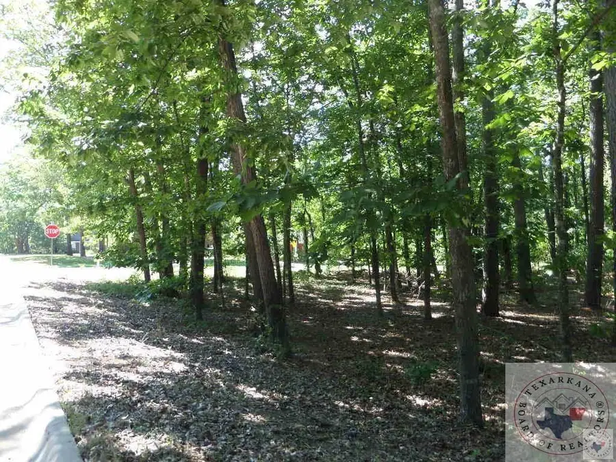 TBD Lakeridge & Forest Lake, Texarkana, TX 75503 - #2